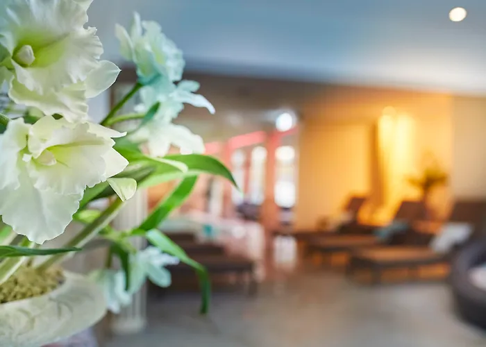 Goebel's Quellenhof Hotel Bad Wildungen